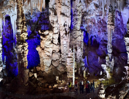 Grotte de la Salamandre